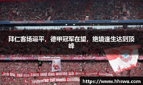 LD乐动注册