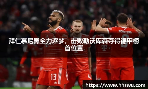 LD乐动官网