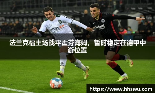 LD乐动官网