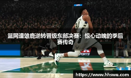 LD乐动官网