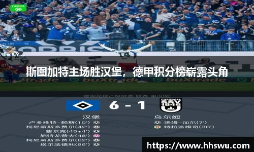 LD乐动官网