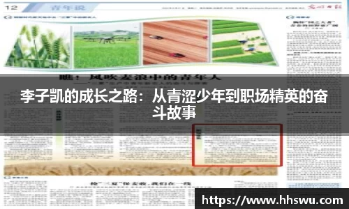 LD乐动官网